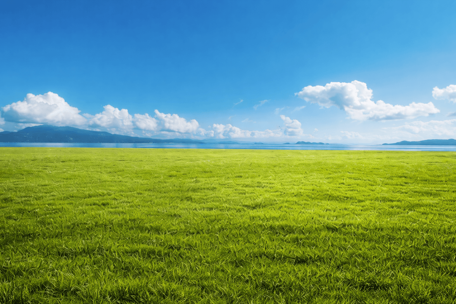 Footer Background